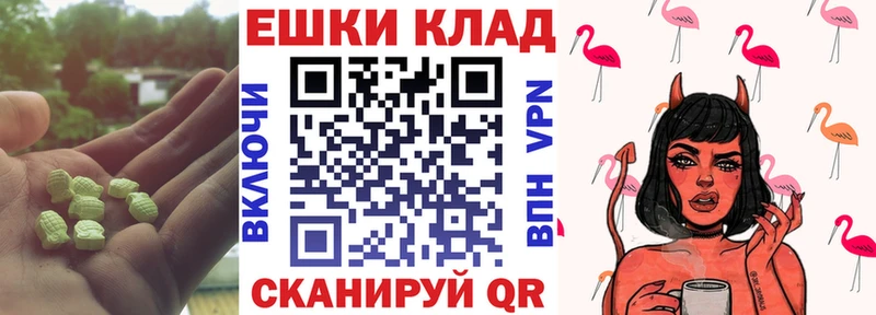 купить закладку  Анжеро-Судженск  ЭКСТАЗИ Philipp Plein 
