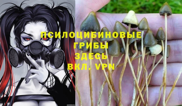 героин Алексин