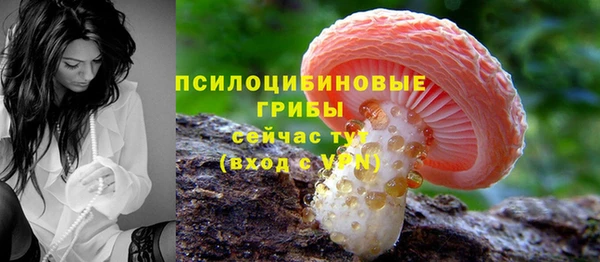 героин Алексин