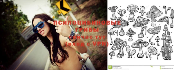 СК Алзамай
