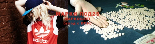 СК Алзамай